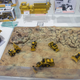 Illustration for article titled Land of the Rising Sun - Day: 59th All Japan Model and Hobby Show